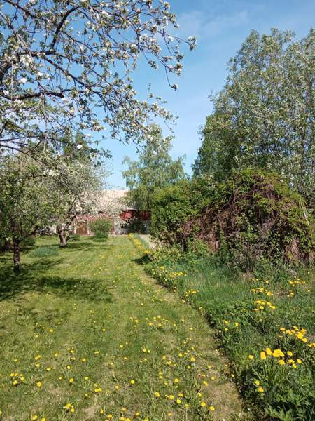 5h + avok + s+kph+2vh+kylmiö  As Salamiyah - valokuva 4