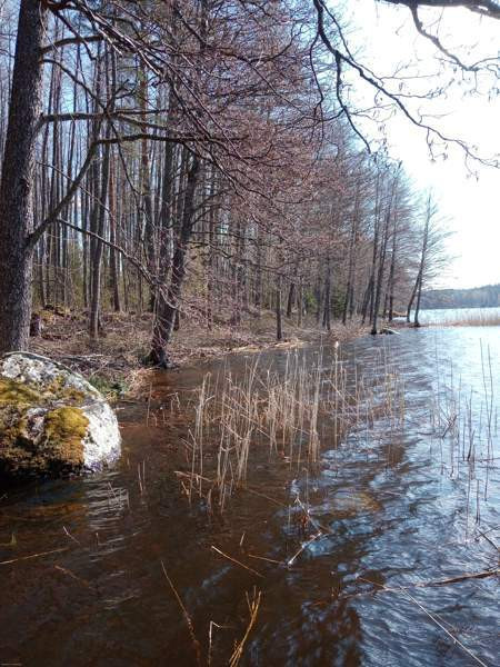 5h + avok + s+kph+2vh+kylmiö  As Salamiyah - valokuva 6