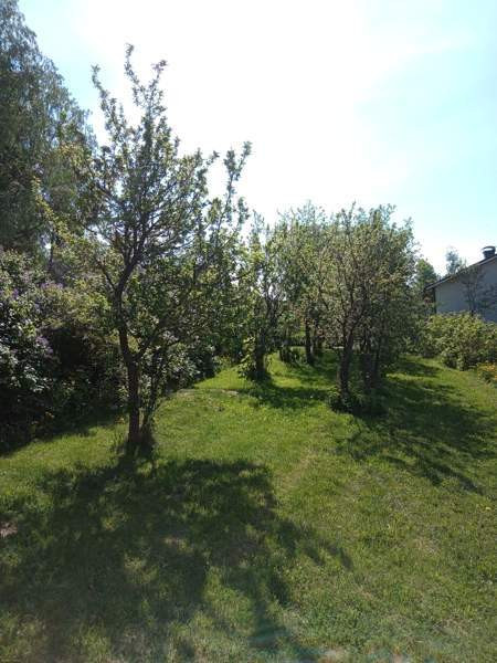 5h + avok + s+kph+2vh+kylmiö  As Salamiyah - valokuva 3