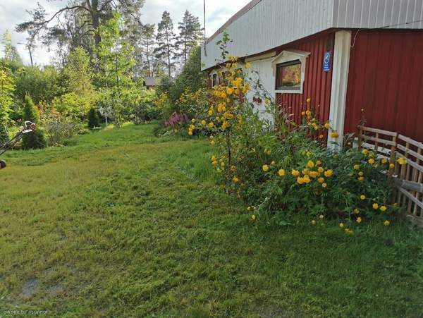 3h + avok + s  Kurikka - photo 2