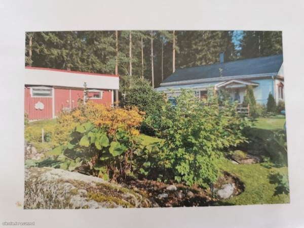 3h + avok + s  Kurikka - photo 3