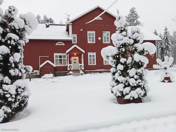 10h + s + khh  Kurikka - valokuva 1