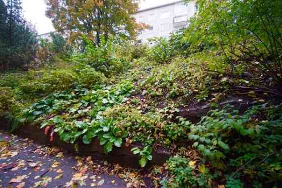 2h + kk + kph  Helsinki