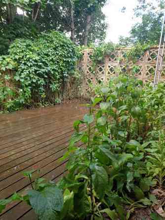 4h, k, s, kh, at, v  Somero