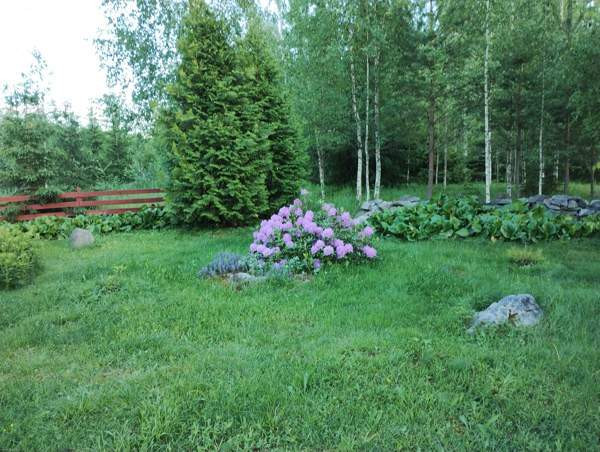 1h + s  Humppila - изображение 5