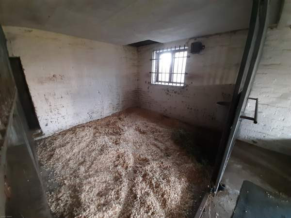 3h + s  Rääkkylä - изображение 4