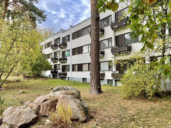 2h, kk, kph, parv  Чукотский АО - изображение 2