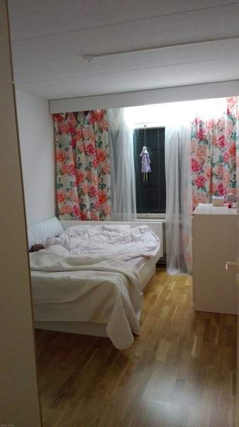 2h + kk  Chukotskiy Avtonomnyy Okrug – foto 4