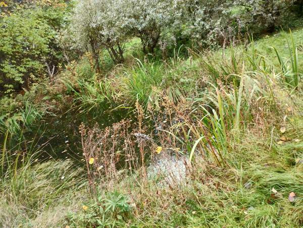 3h + s  Vehmaa – foto 3