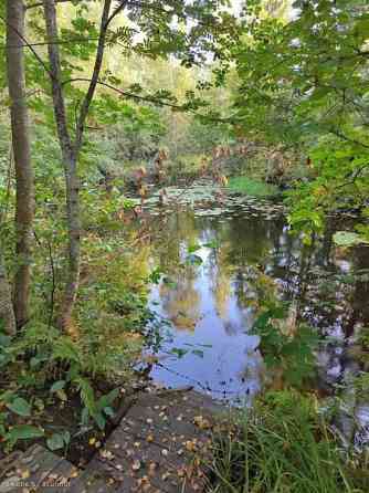 5h+k+kph+aula+vintit+kellari, rantasaunassa kamari  Haemeenlinna