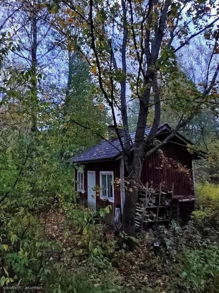 5h+k+kph+aula+vintit+kellari, rantasaunassa kamari  Hämeenlinna - valokuva 2