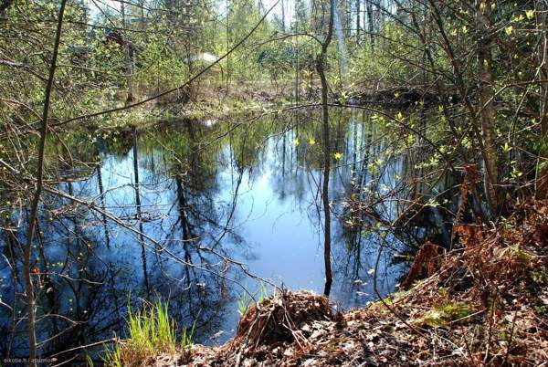 5h+k+kph+aula+vintit+kellari, rantasaunassa kamari  Hämeenlinna - valokuva 4