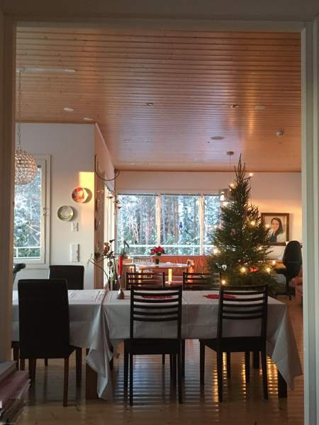 6h + s + p  Savonlinna - valokuva 4