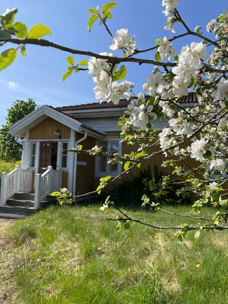 3h  Pöytyä – foto 2