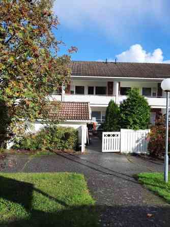 3h + k + s  Турткуль