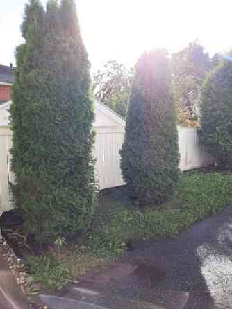 3h + k + s  Турткуль