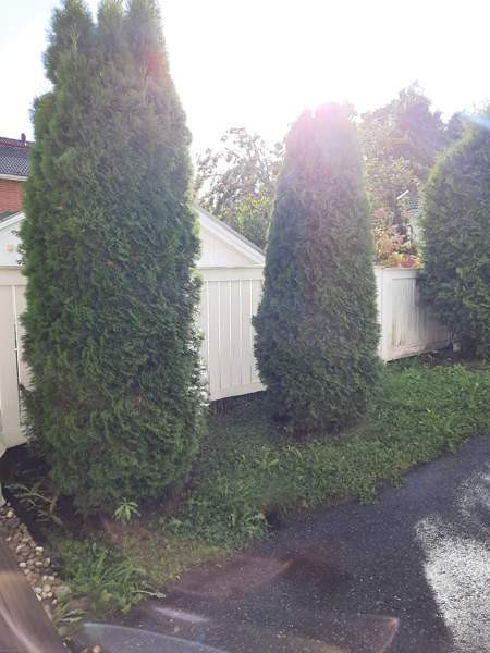 3h + k + s  Турткуль - изображение 2