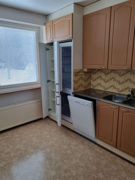 3h + s + p  Viitasaari - valokuva 2