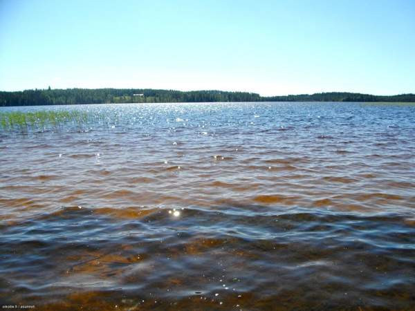 3h+k+kph+yk+at+var+saunarakennus  Ruokolahti - photo 2