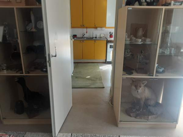 2h + k + p  Каяни - изображение 7