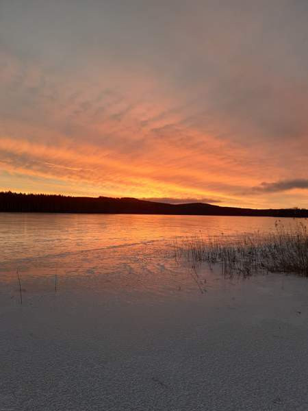 4h + s  Toivakka – foto 1