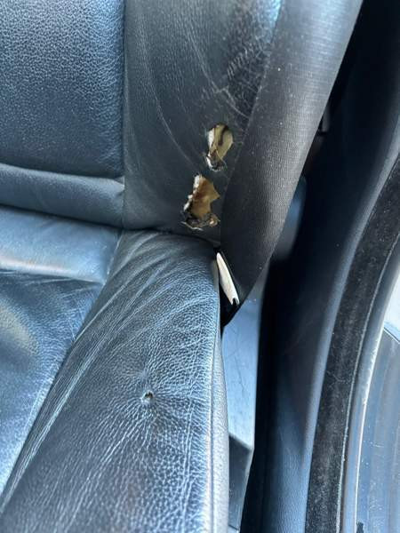 BMW 525 Kerava - photo 6