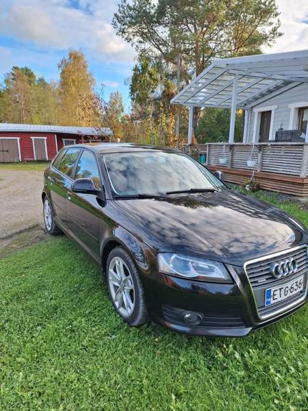 Audi A3 Luga - valokuva 7