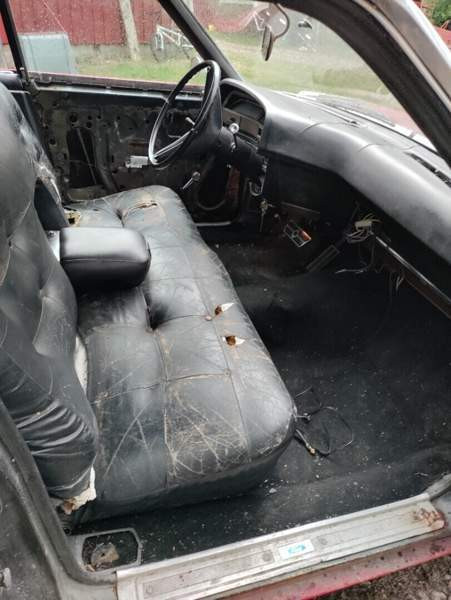 Ford LTD Kruunupyy - valokuva 5