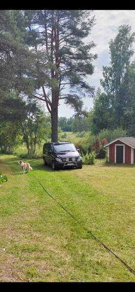 Mercedes-Benz Vito Tammela - изображение 1