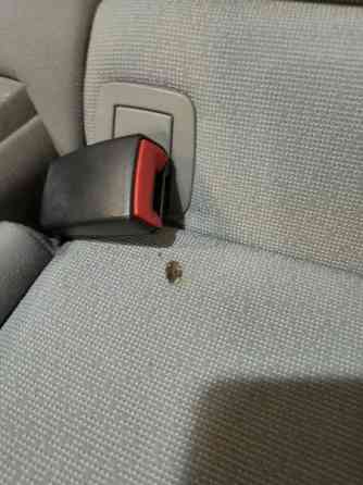 BMW 330 Сейняйоки