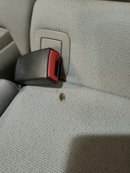 BMW 330 Сейняйоки - изображение 4