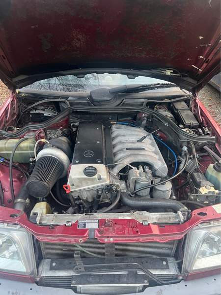 Mercedes-Benz 300 Luga - valokuva 2