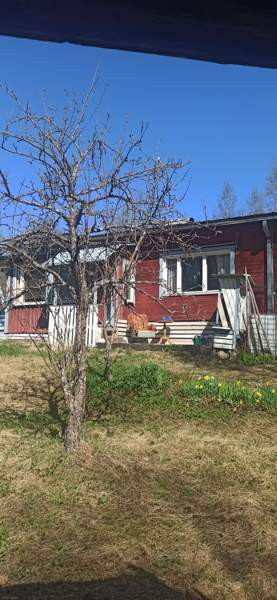 2h + s  Keitele - photo 2