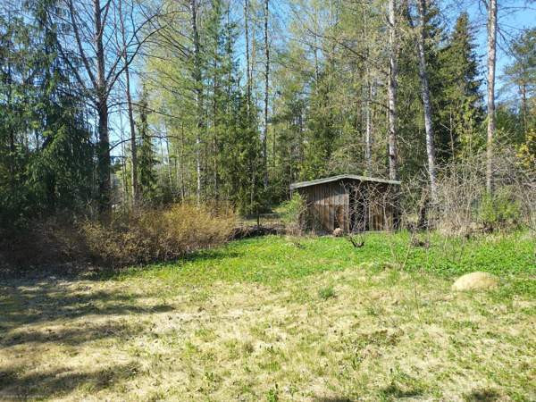 3h  Glebychevo - valokuva 2