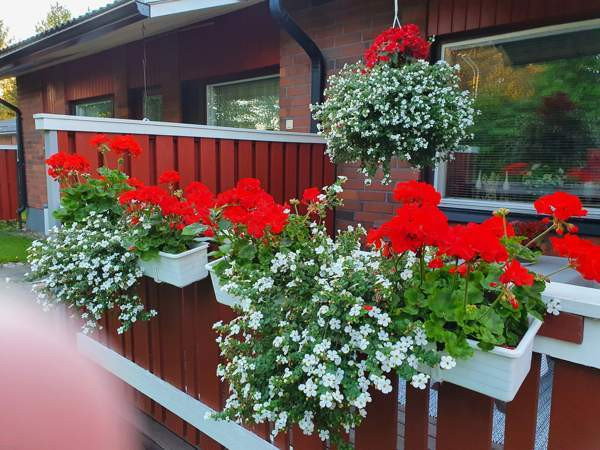 2h+keittiö  Kemijärvi - изображение 1