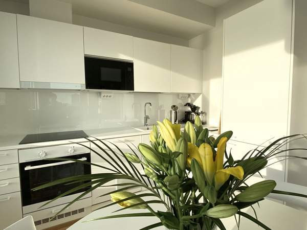 Merinäköalalla 2h+k+sauna+lasit.p  Helsinki - valokuva 4