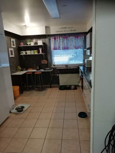 oh,4mh,k,rh,s,kph,tk, 2wc,khh,vh,at  Glebychevo – foto 5