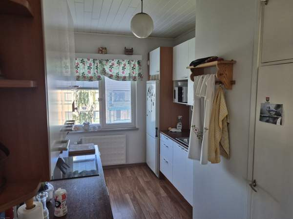 4h  Лохья - изображение 4