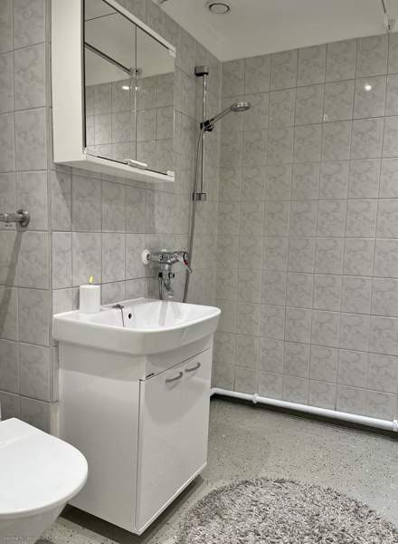 2h + p  Jaervenpaeae - photo 7