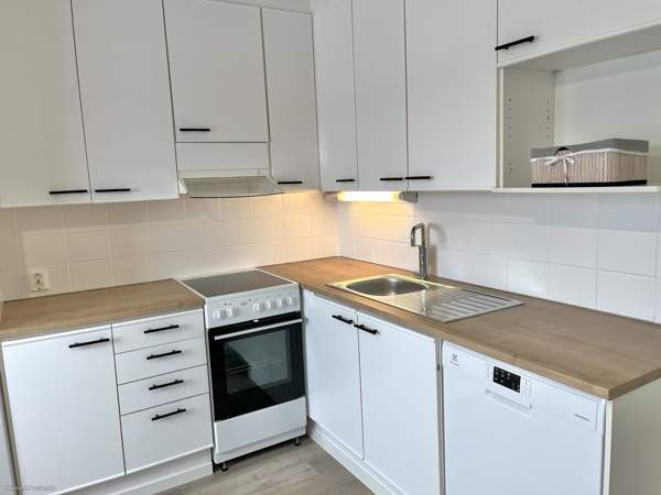 2h + p  Jaervenpaeae - photo 3