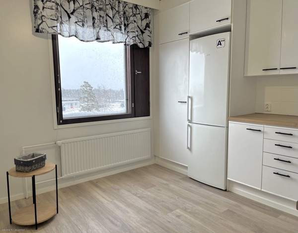 2h + p  Jaervenpaeae - photo 5