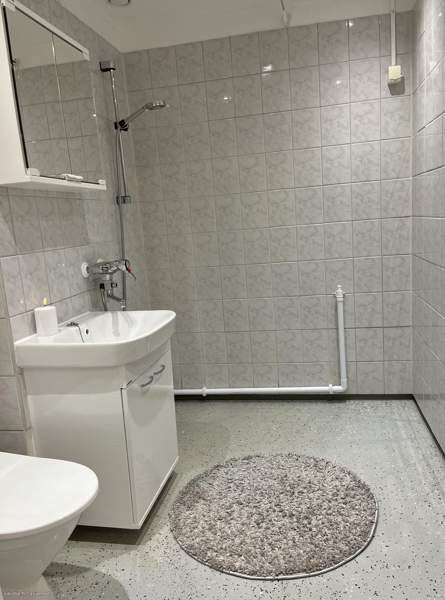 2h + p  Jaervenpaeae - photo 4