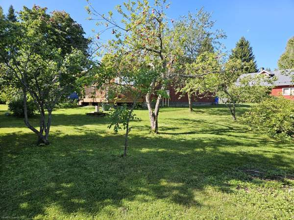 4h + k + s + at  Savonlinna - valokuva 3