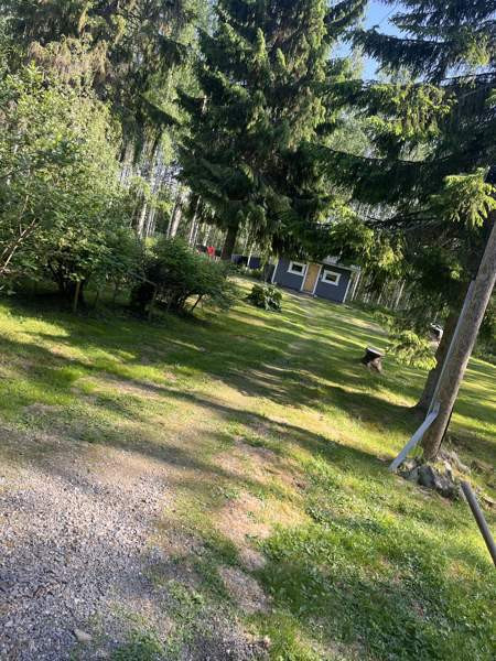 2h + k + s  Liperi – foto 2