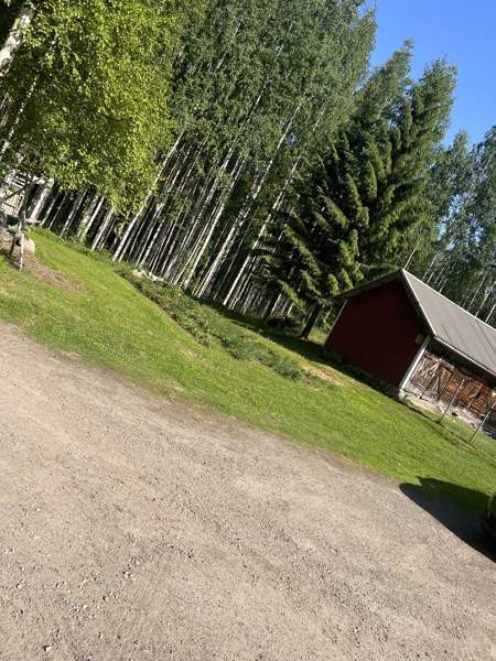 2h + k + s  Liperi – foto 3