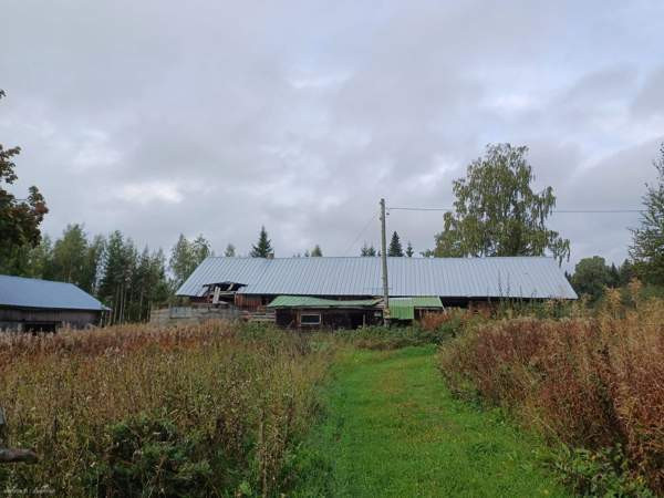 5h+k+s+p  Liperi – foto 4