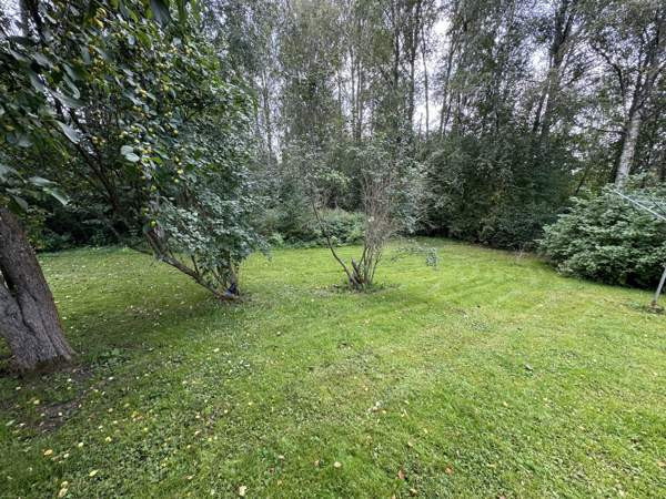 4h + k + s  Сейняйоки - изображение 5