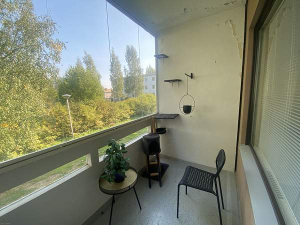 3h, k, kph/wc, vh, lasitettup  Macau - photo 8