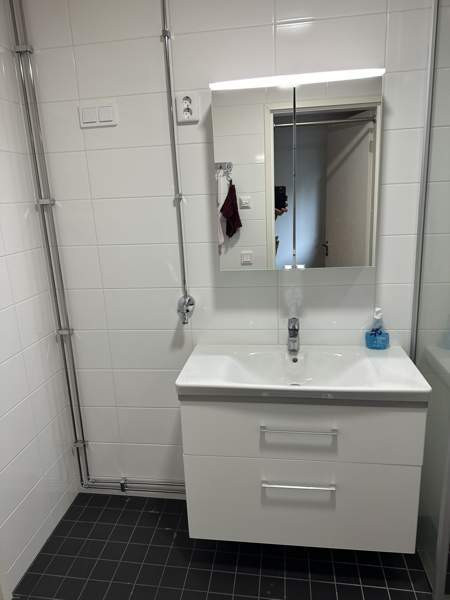 4h + k  Helsinki - valokuva 7