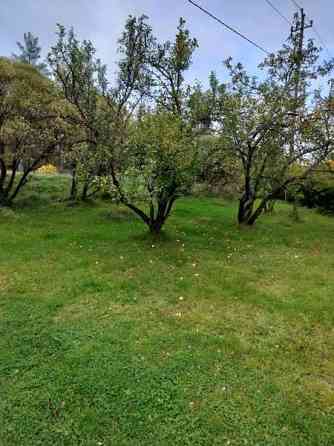 4h + k + s  Luumäki